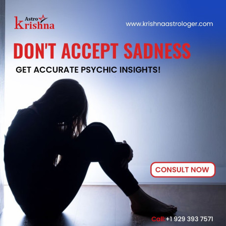 how-should-you-choose-an-astrologer-in-texas-krishnaastrologer-big-0